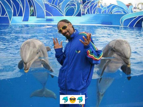 Sex Snoop be chillin pictures