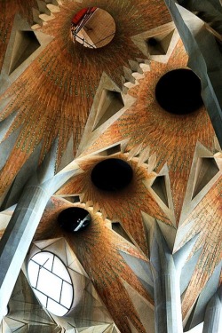 crystal-wisdoms:  La Sagrada Familia- ceiling