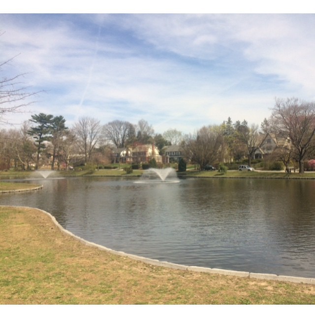 Jog around the lake kind of day  💪🏼  (at Edgemont Memorial Park)