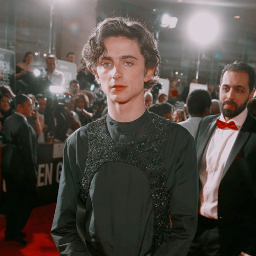 timothée chalamet at the golden globes 2019 icons if it wasn’t it obvious, he dese