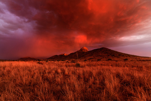 An amazing sunset east of Sonoita, Arizona. The sky was on fire from a monsoon thunderstorm and the 