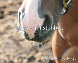 justlittlehorseythings:  inspired by (x)