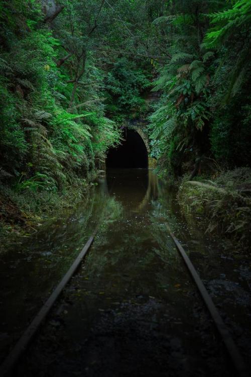 abandonedandurbex:[3224x4836] The abandoned Helensburgh glow worm tunnel after a few days of heavy r