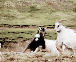 jonarya:  “What is it?” Dany asked. “Do you have some grievance to lay before
