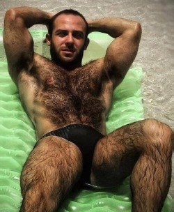 bavarianbear:  bendover1:  contryboy49:  http://contryboy49.tumblr.com/  groom this man daily like a cat licking kittens  Beautiful fur