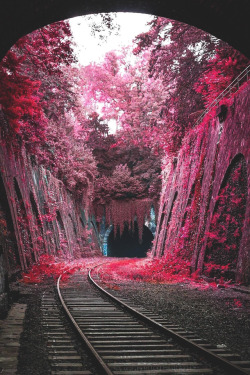 lsleofskye:La Petite Ceinture | saaggo