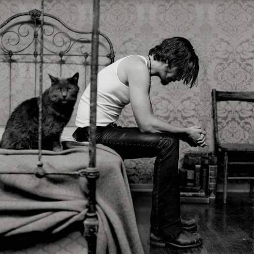 pigolio:  Consolazione! I gatti lo sanno…. 