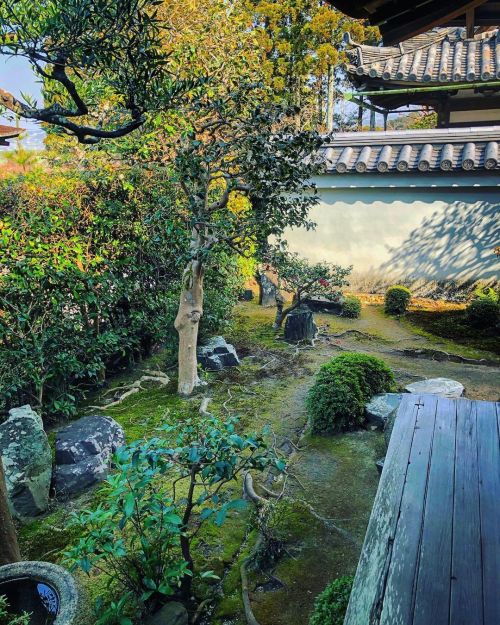 一休寺虎丘庵庭園 [ 京都府京田辺市 ] ② Ikkyuji Temple Kokyuan Garden, Kyotanabe, Kyoto ーー #一休さん ‍こと一休宗純禅師の終の棲家に&