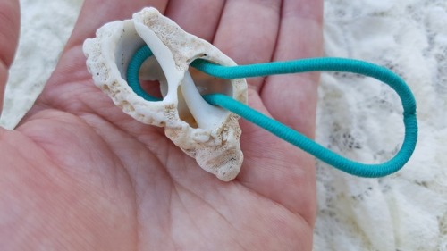 lonesome-bones:she-who-treads-on-water:Super Easy DIY Shell Hair Tie I am fortunate to live along th