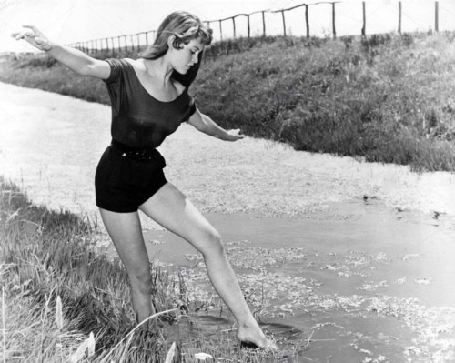 talesfromweirdland:Brigitte Bardot in 1952.