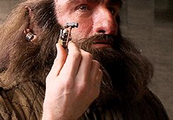 loriendesse:   Graham McTavish: behind the scenes of The Hobbit  for talldwarfdwalin 