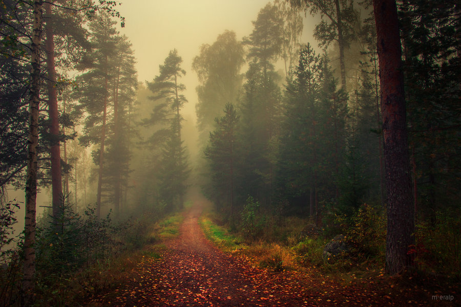 woodenscape:  Neverending storyby m-eralp               