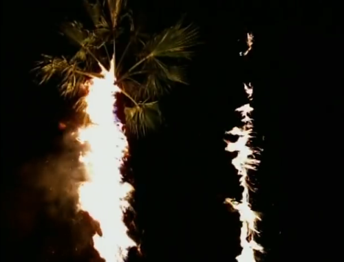 fuckyeahcourtneylove: sonicyouth93: Hole, Malibu (1998) Directed by Paul Hunter. “The theme wa