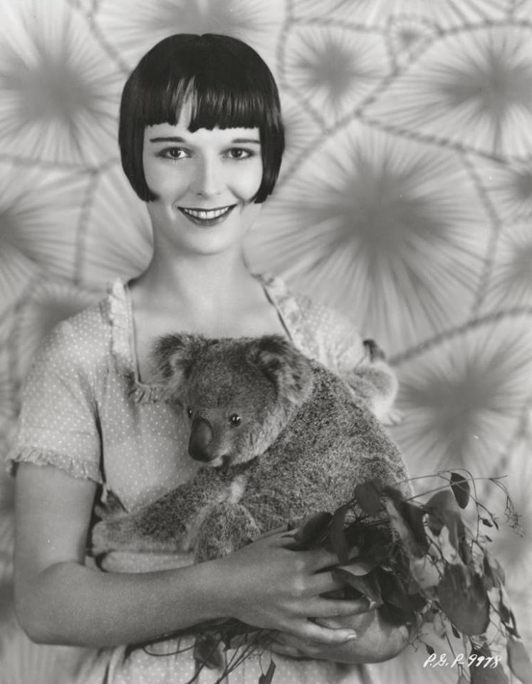 cobblestonestreet:Louise Brooks, holding Archie the koala, who was visiting Hollywood,