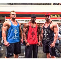 drwannabe:  Chris Drago, Simeon Panda, and Bradley Martyn 