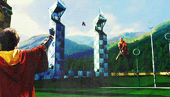 sybilltrelawneys:  HP Meme, four locations→ The Quidditch Pitch