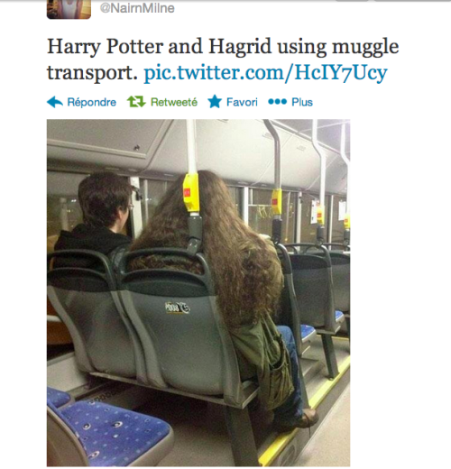 quidditchcaptain:  omg 