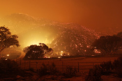  Terrifying beauty of forest fires 