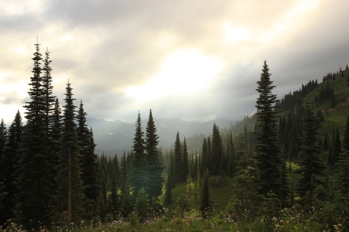 burningmine:Naches Peak Loop, August 2020