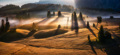 Golden Morning by Georgi Donev