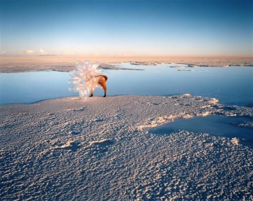 Scarlett Hooft Graafland (b.1973, Netherlands) The images Scarlett Hooft Graafland creates look impo