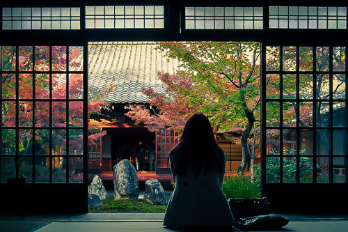 ourbedtimedreams: Zen Garden by Ann Hung