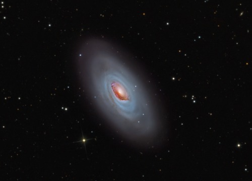 spaceexp: This beautiful, bright, spiral galaxy is Messier 64, often called the Black Eye Galaxy or 