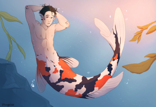 felidadae: Koi fish Yuuri (calls himself a ‘dime a dozen’ Koi), and Mer!Prince Victor as