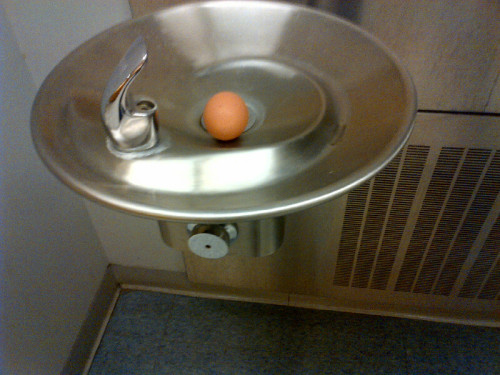 afternoonranger:i was walking to history class and saw an egg in a water fountaini don’t under