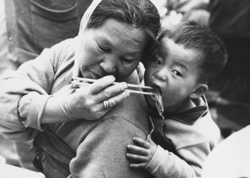 fotojournalismus:A woman feeds her grandson noodles whilst carrying him on her back in South Korea, 