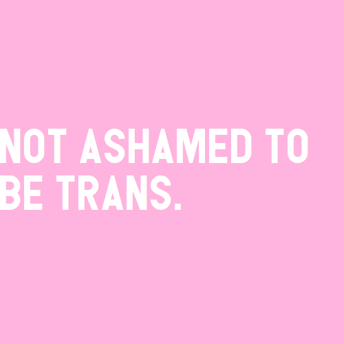 nonbinarypastels:[Image Description: A pink color block with text that reads “not ashamed to be tran