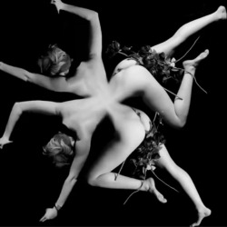 still from the &lsquo;tounge tied&rsquo; video