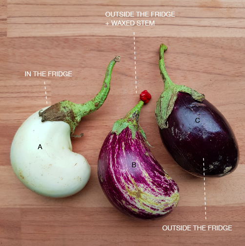 Are Aubergine and Eggplant the Same Thing? - The Cookful