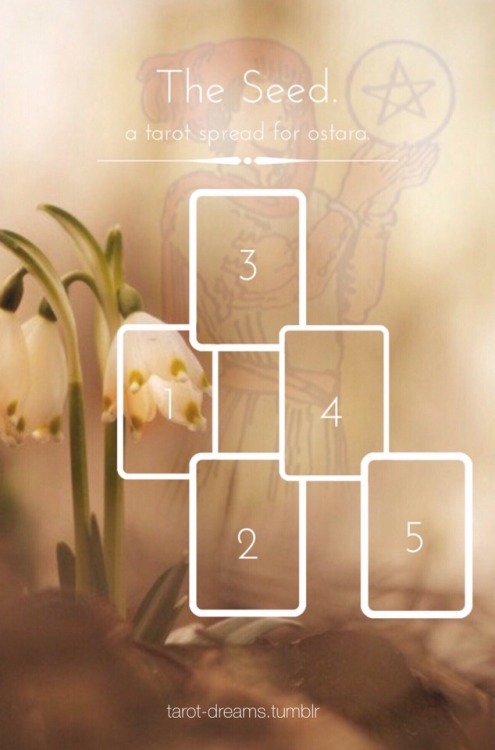 tarot-dreams:The Seed.a tarot spread for ostara.1. The Soil.Where have you grown? While it most cert