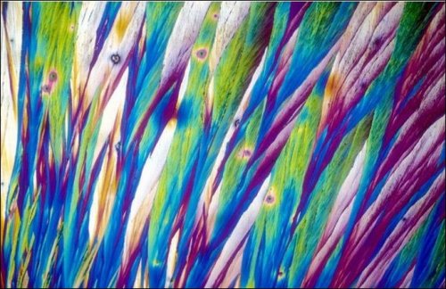 Visual Style 19: Alcohol under microscope