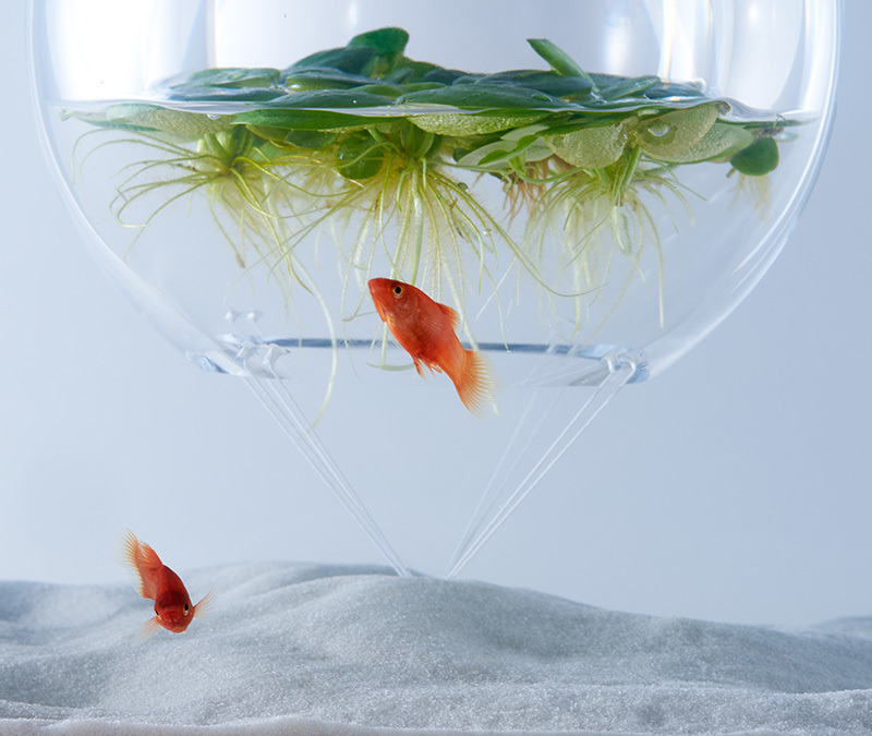 thre3f:  Sculptural Fish Tanks by Haruka Misawa 