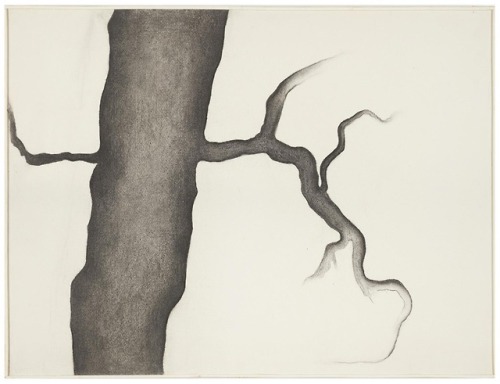 Georgia O’Keeffe (American, 1887-1986), Drawing III, 1959. Charcoal on paper.