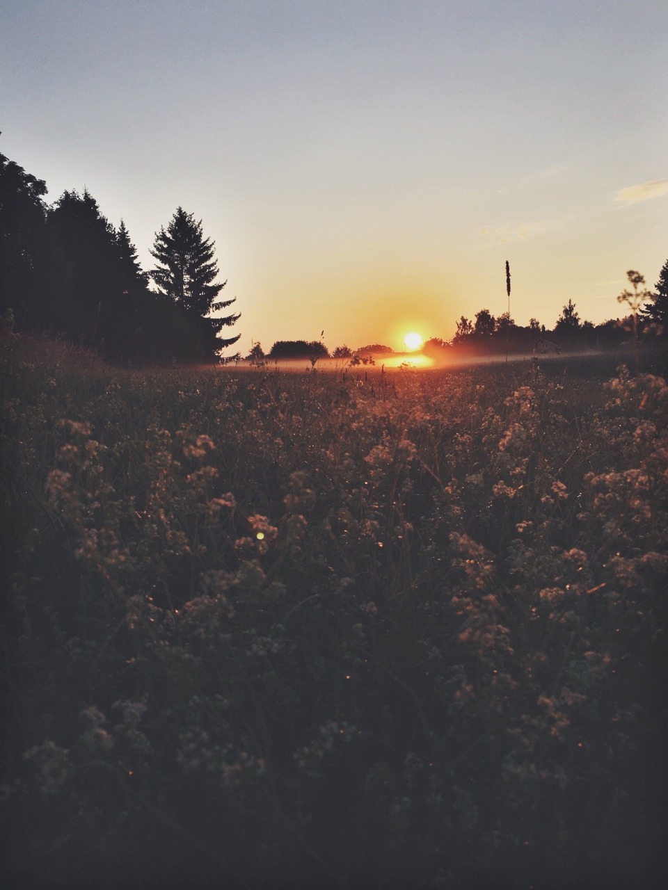 h-o-r-n-g-r-y:  I have a thing for watching a sunrise 04:05 in the morning.