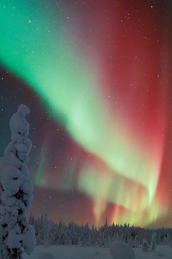 Flitterling:  Northern Lights In Finland By Visit Finland