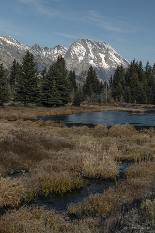 riverwindphotography: Morning Light Downrange: Grand Teton National Park, Wyoming© riverwindpho