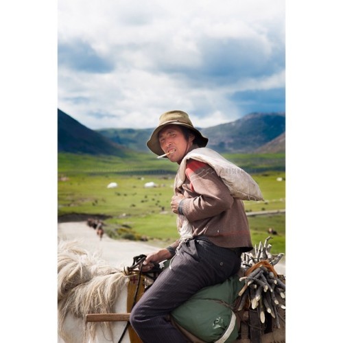 Tibetan cowboys herd yaks carrying firewood to their nomadic camp set in a valley in Kham, Tibet&hel