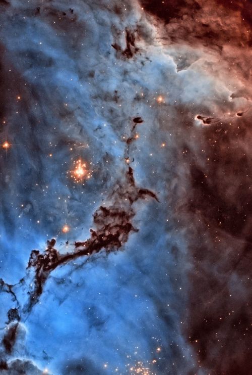  N11, Star Clouds of the LMC 