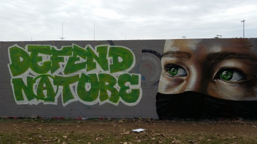 ‘Defend Nature’ mural in Sydney