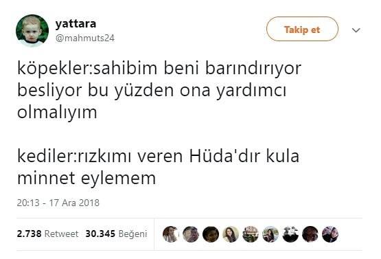 köpekler:sahibim beni...