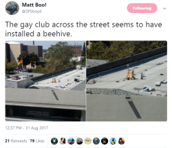 yetanothercriminalmindsfanatic:  septembriseur:  emperor-of-roses: reblog to support these gay bees #i believe you mean the gay club has installed a second smaller gay club#for the gay bees (@fursasaida)  @milkymaccha 