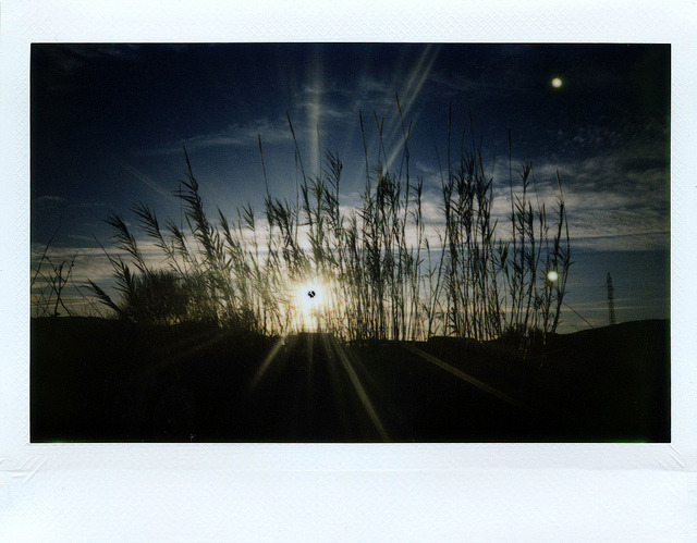 Instax 001 on Flickr.
A través de Flickr:
Elda, Alicante (Spain)
26/01/2013
Camera Fuji instax 200
Film: Fuji instax wide