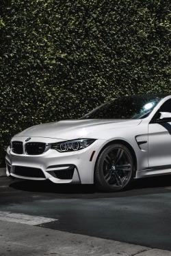 vistale:  BMW M4