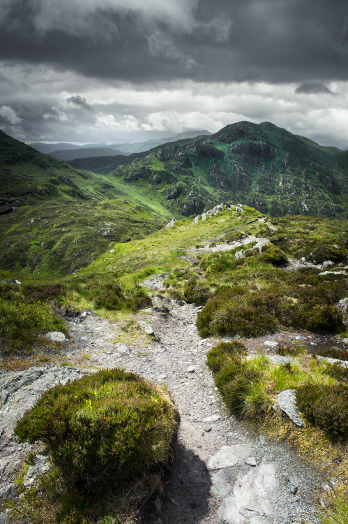 The Path to Ben Venue by Neil Williamson