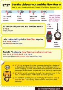 Easy to Learn Korean 1737 – See old year out and the new year in.