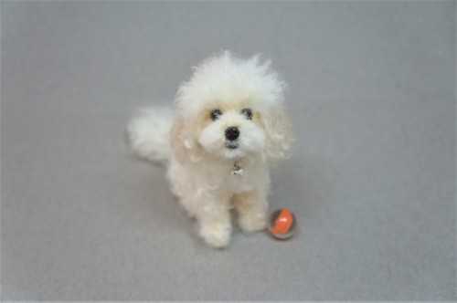 A needle felted poodle “Annabelle”, based on pet photos.